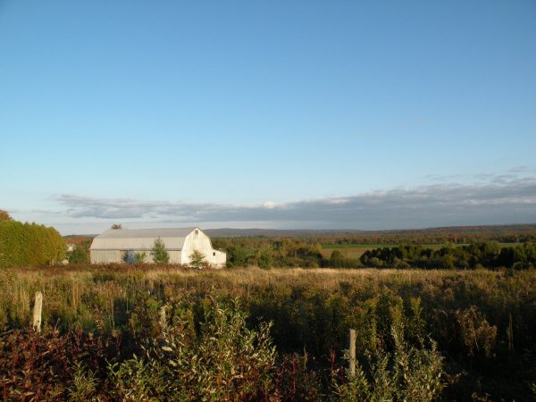 À perte de vue - chemin Mooney