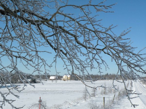 Nature de cristal - 9e rang
