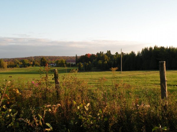 Teintes d’automne - chemin Lisgar