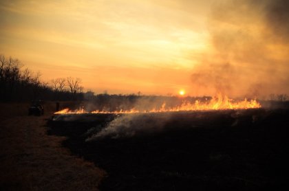 prudence feux en forêt