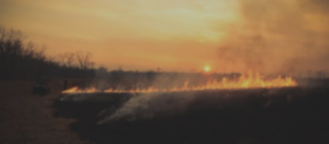 prudence feux en forêt